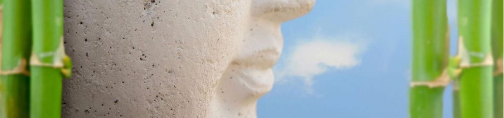 Tai Chi & Qi Gong zur Stressbew&auml;ltigung